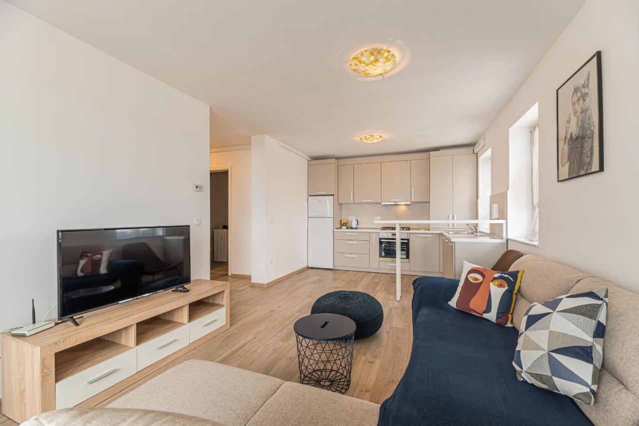Coresi Modern Apartment Braşov Extérieur photo